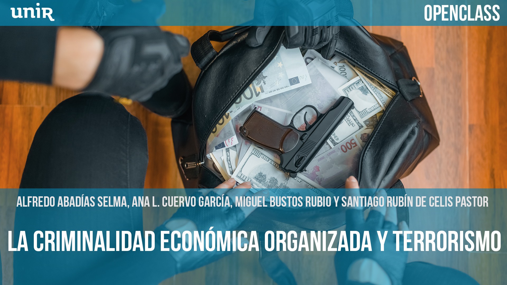 La criminalidad econ&oacute;mica organizada y terrorismo