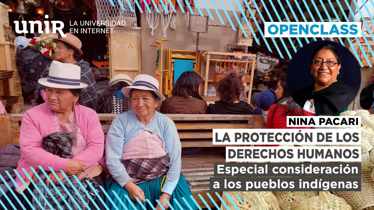La protecci&oacute;n de los derechos humanos: especial consideraci&oacute;n a los pueblos ind&iacute;genas